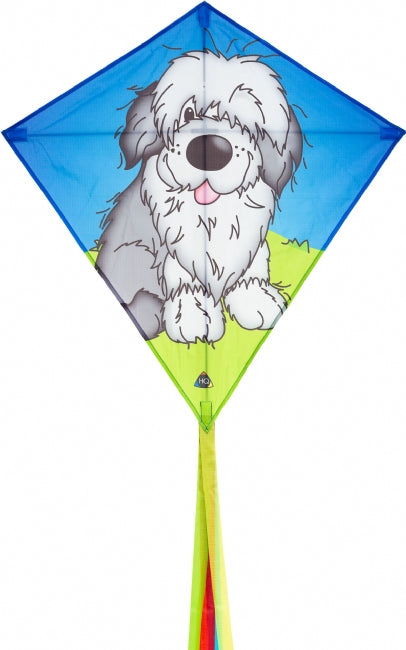 Eddy Shaggy Dog