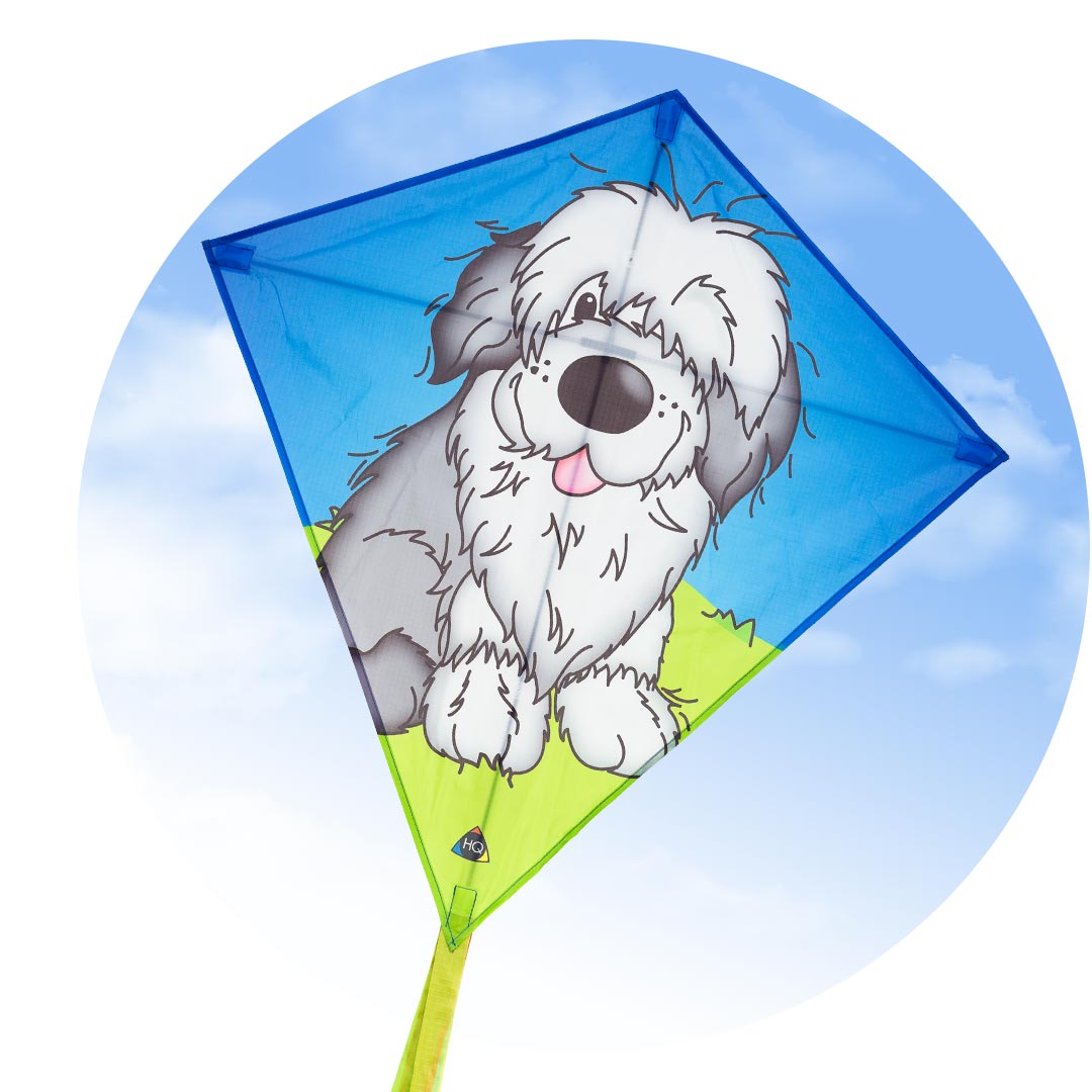 Eddy Shaggy Dog