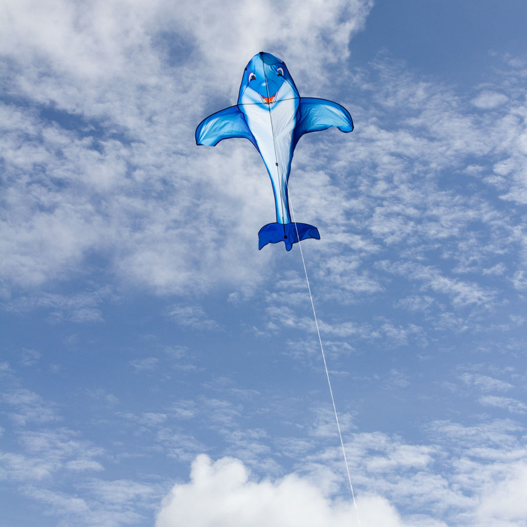 Dolphin Kite