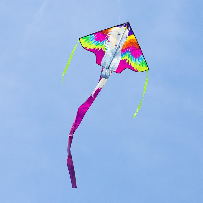 Ecoline Simple Flyer Pegasus 120 cm / 47"