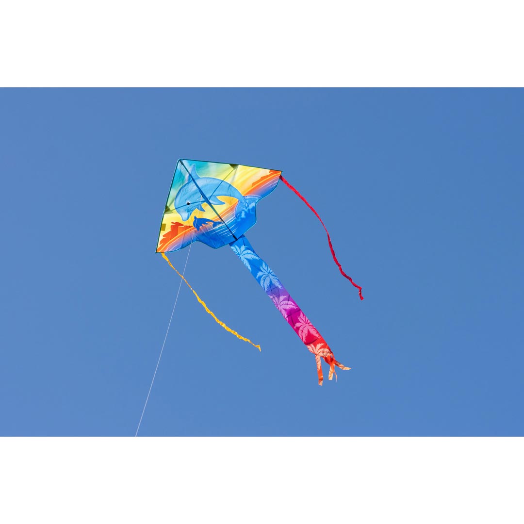 Ecoline Simple Flyer Dolphin Sunset 120 cm / 47"