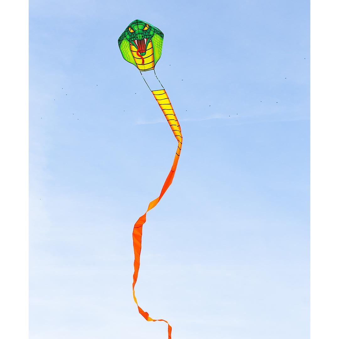 Ecoline Emerald Cobra Dragon 33'