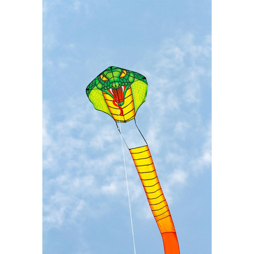 Ecoline Emerald Cobra Dragon 33'