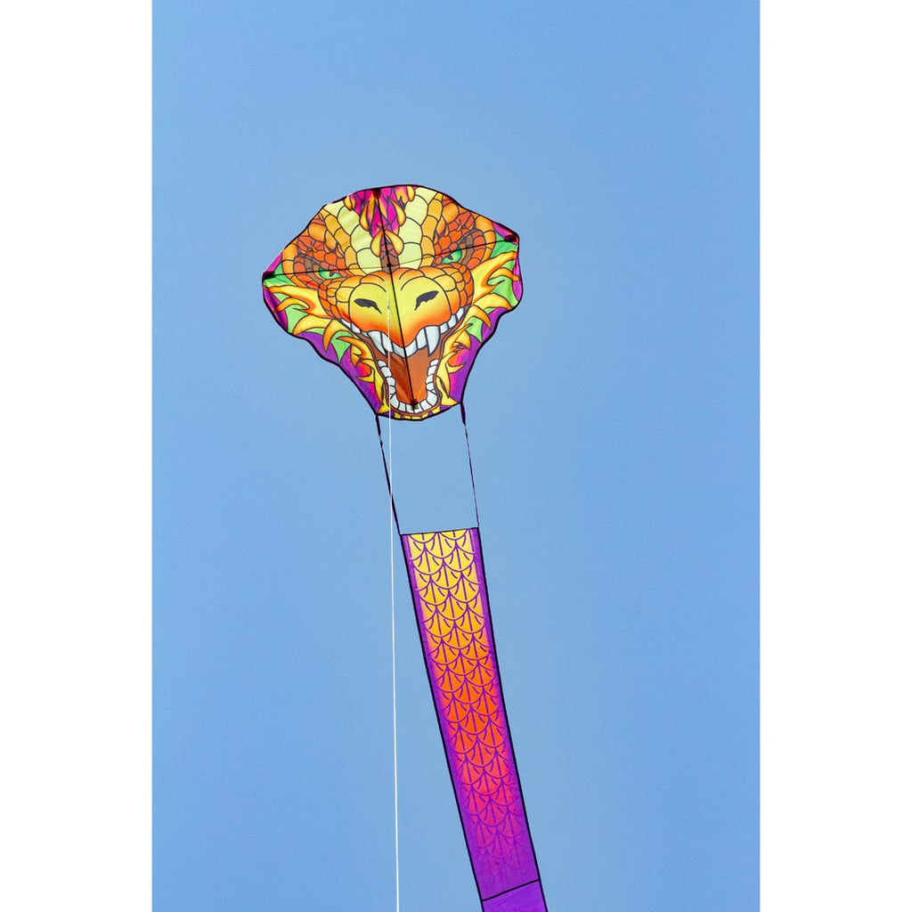 Ecoline Dragonhead Kite 33'