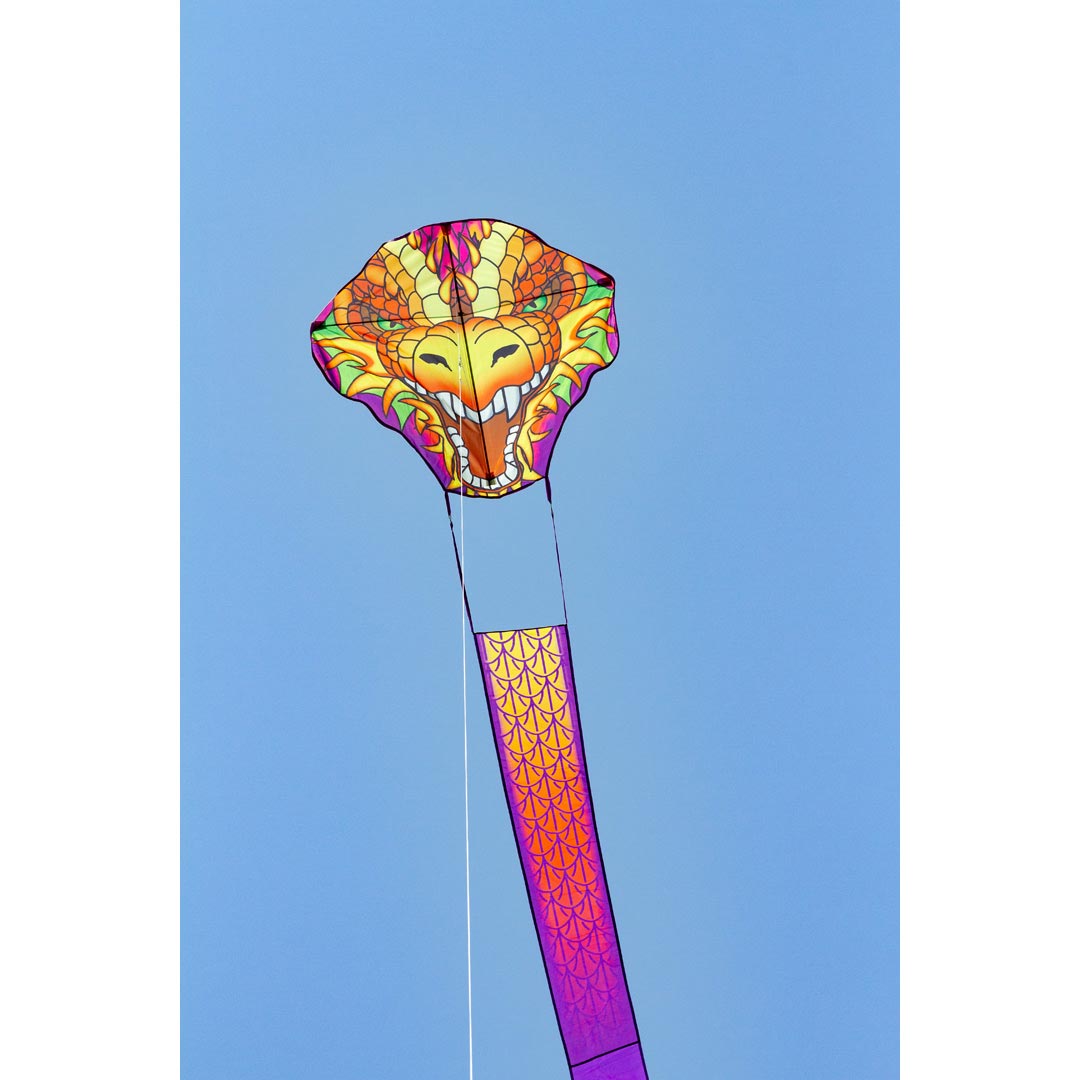 Ecoline Dragonhead Kite 33'