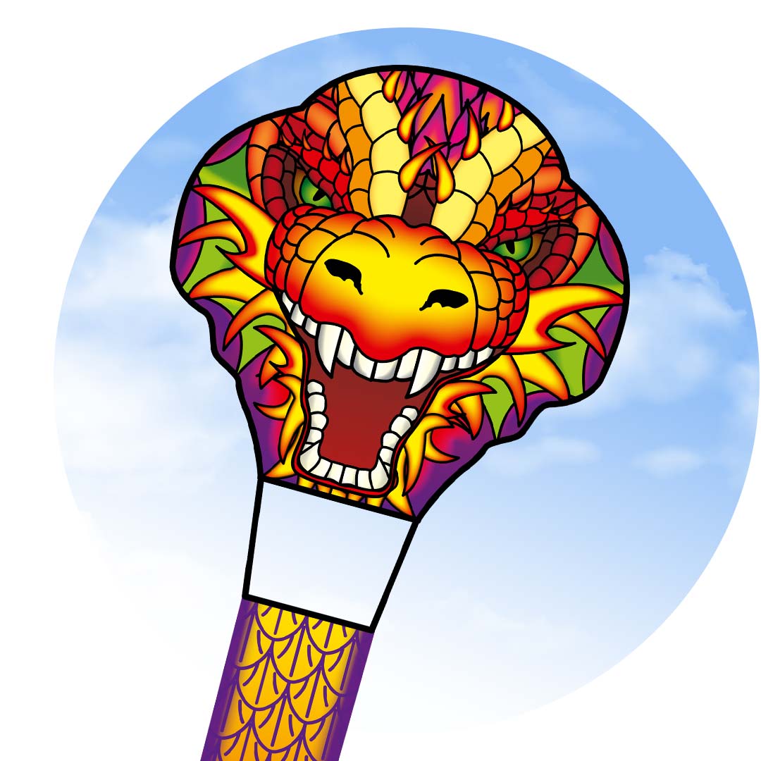 Ecoline Dragonhead Kite 33'