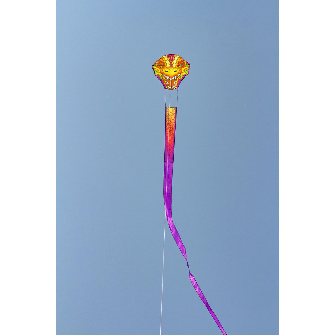 Ecoline Dragonhead Kite 33'