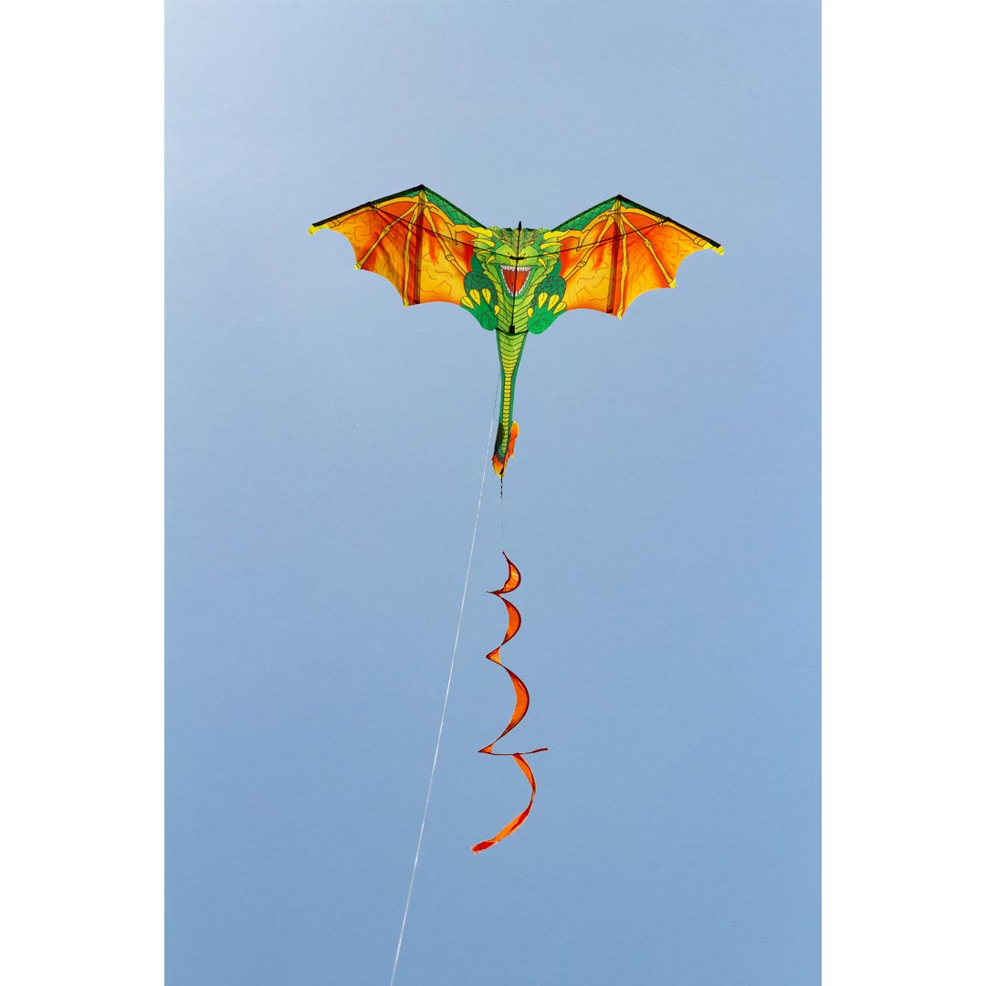 Blaze the Dragon Kite