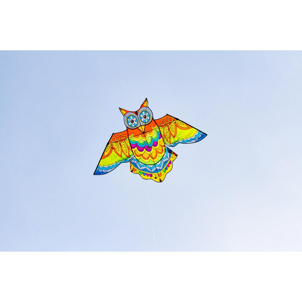 Jazzy Owl Kite