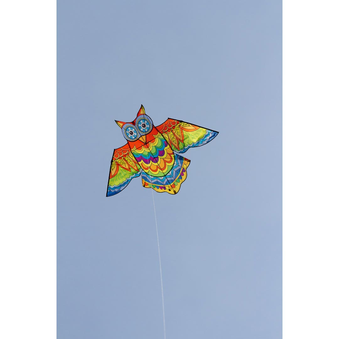 Jazzy Owl Kite