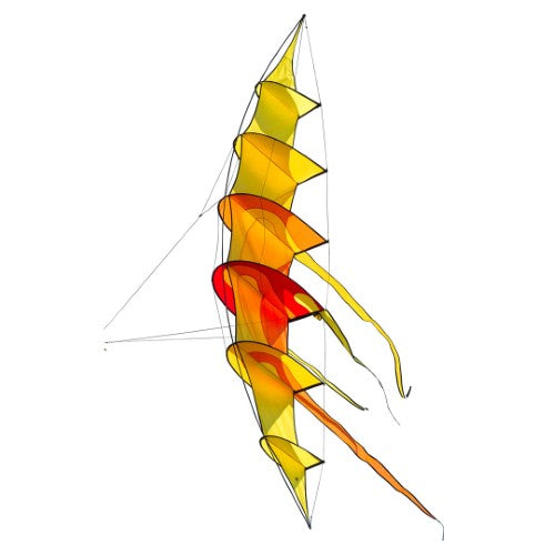 Hoffmann's Bowkite "Sunrise"