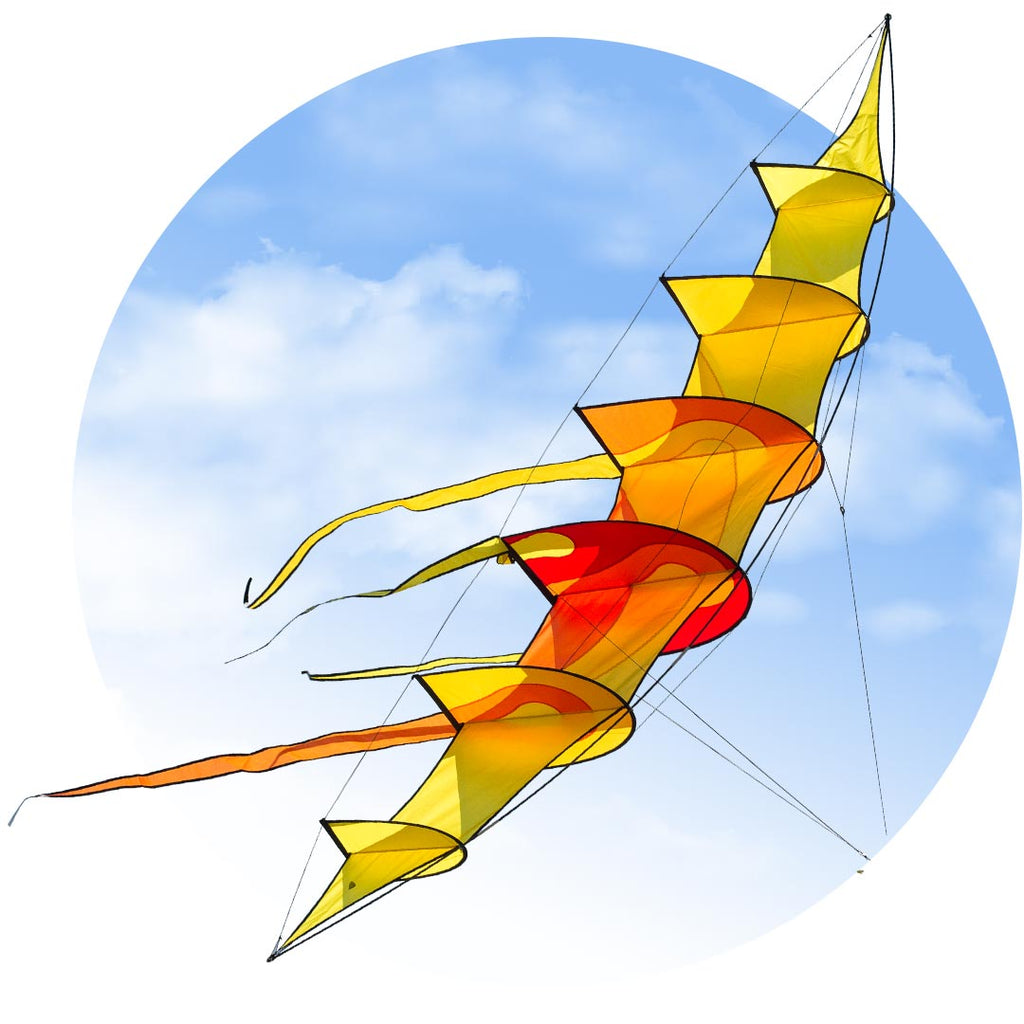 Hoffmann's Bowkite "Sunrise"