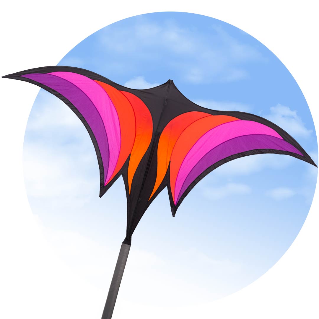 Brasington'S Ravenswing - HQ Kites