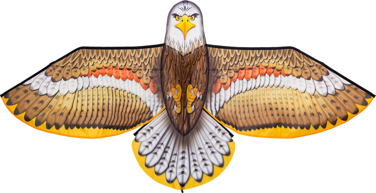Bird Kite Eagle