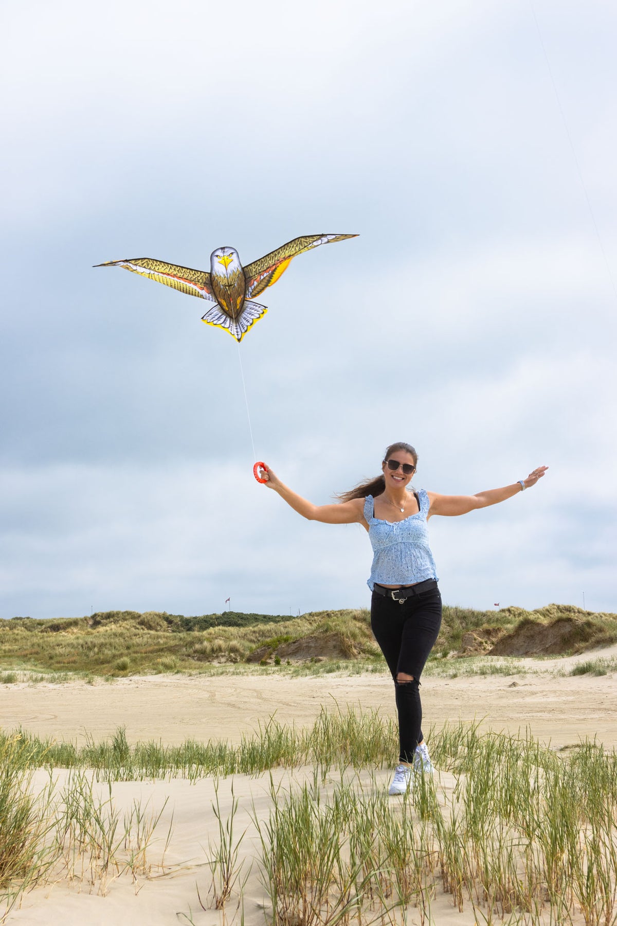 Bird Kite Eagle