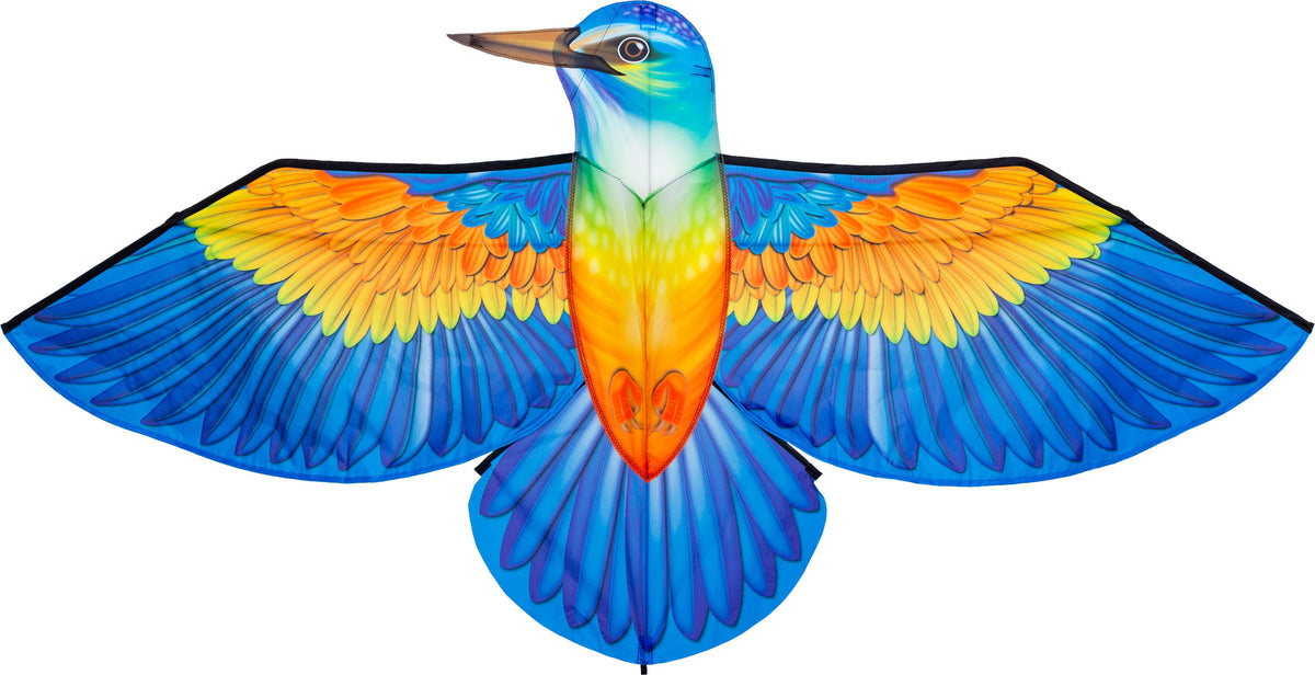 Bird Kite Kingfisher