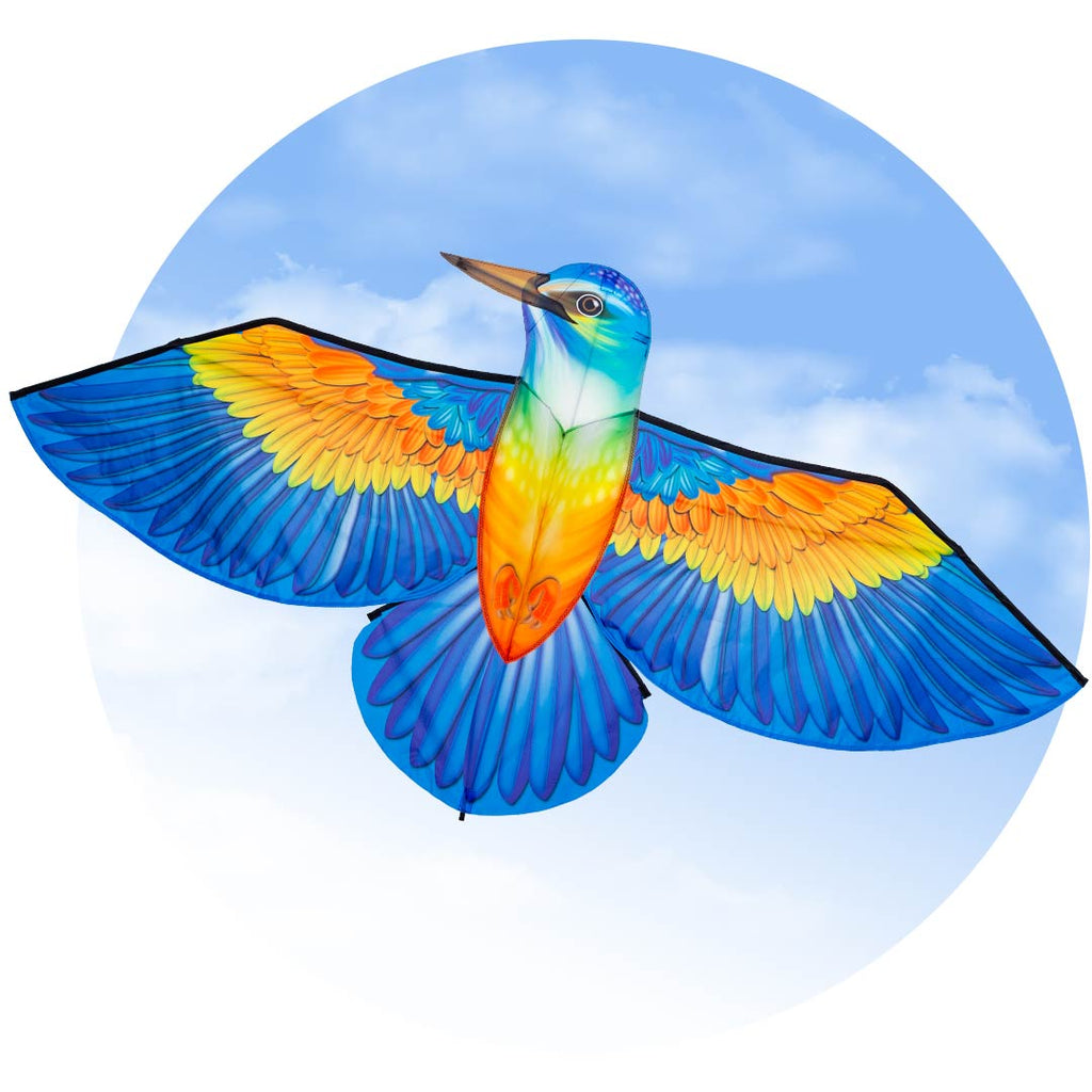 Bird Kite Kingfisher