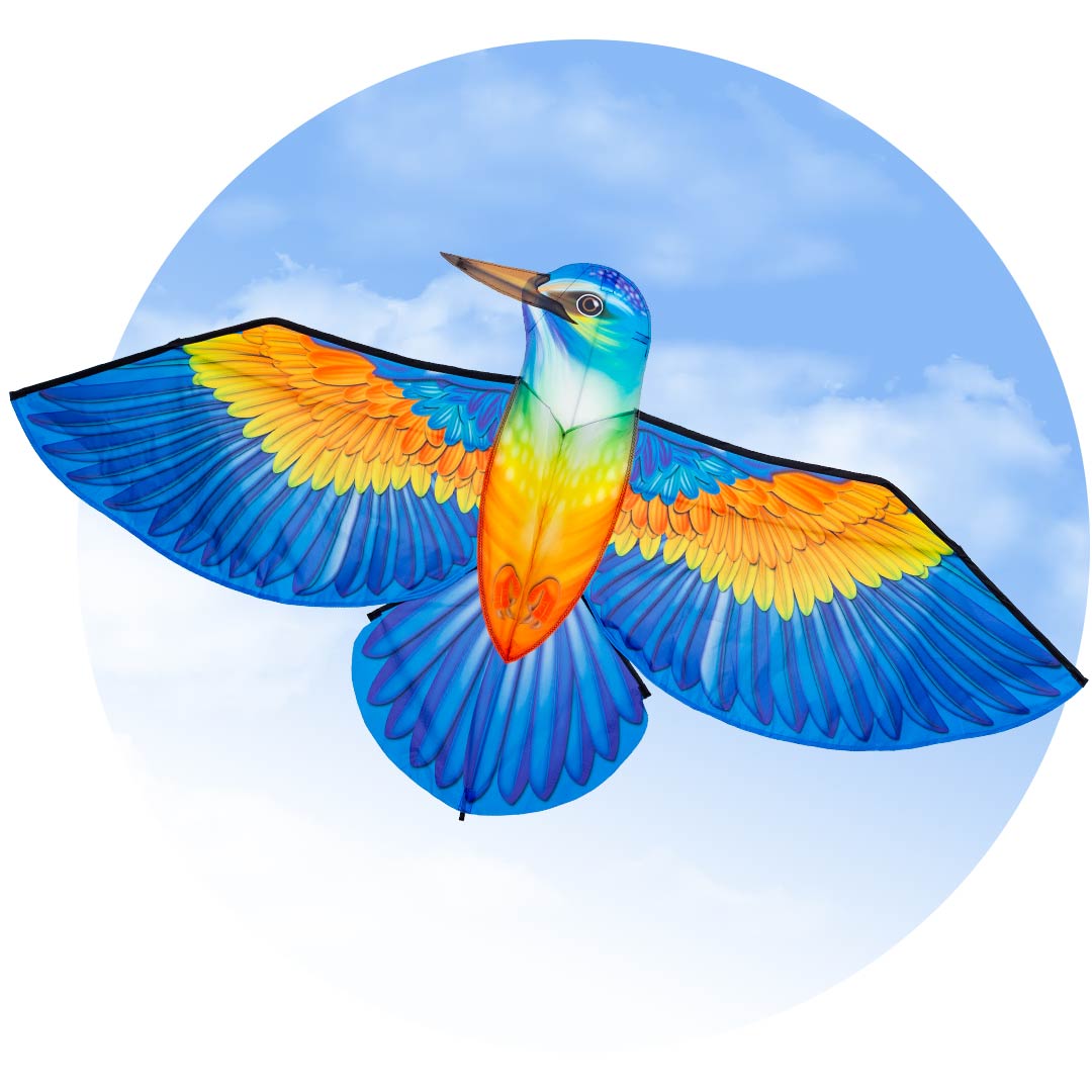 Bird Kite Kingfisher