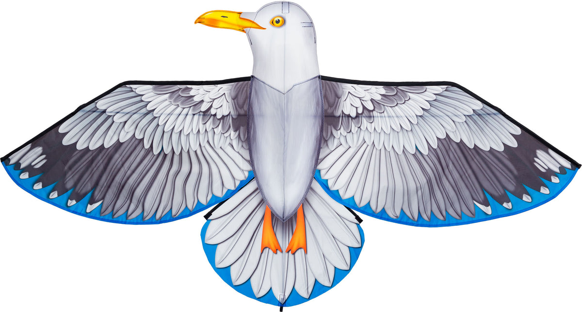 Bird Kite Seagull