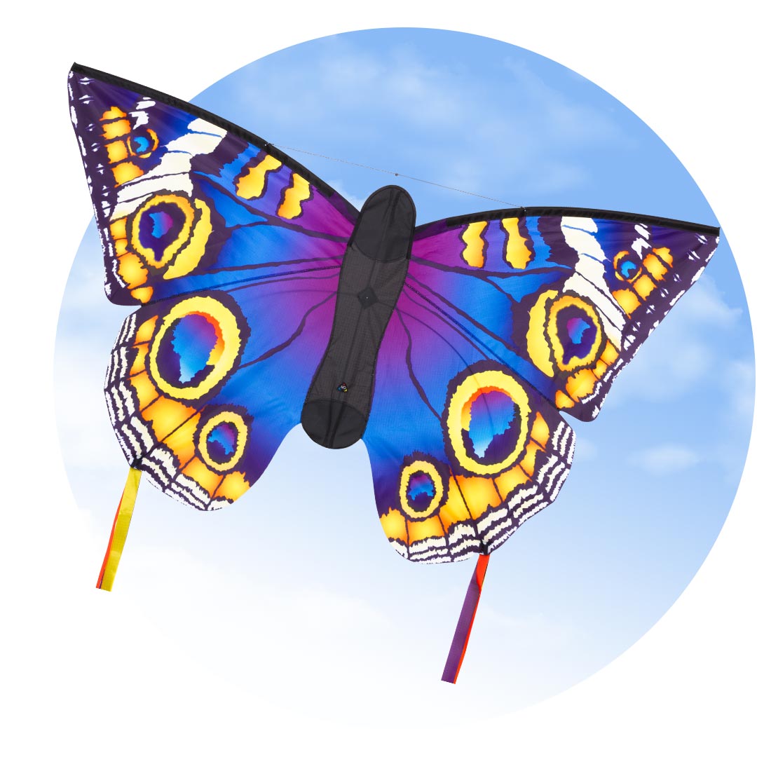 Butterfly Kite Buckeye (L)