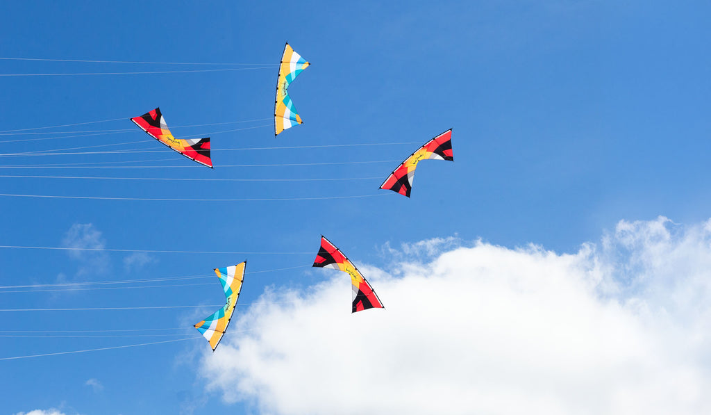 Verve Aqua - HQ Kites