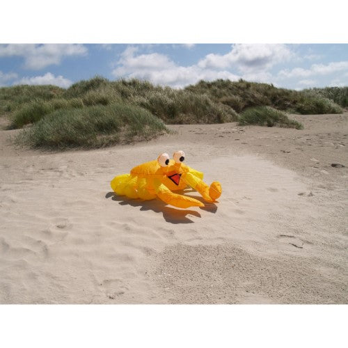 Bouncing Buddy 'Billy the Crab' Orange