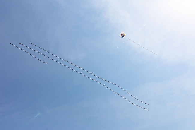Tube Tail Black & White Gradient 24M - HQ Kites