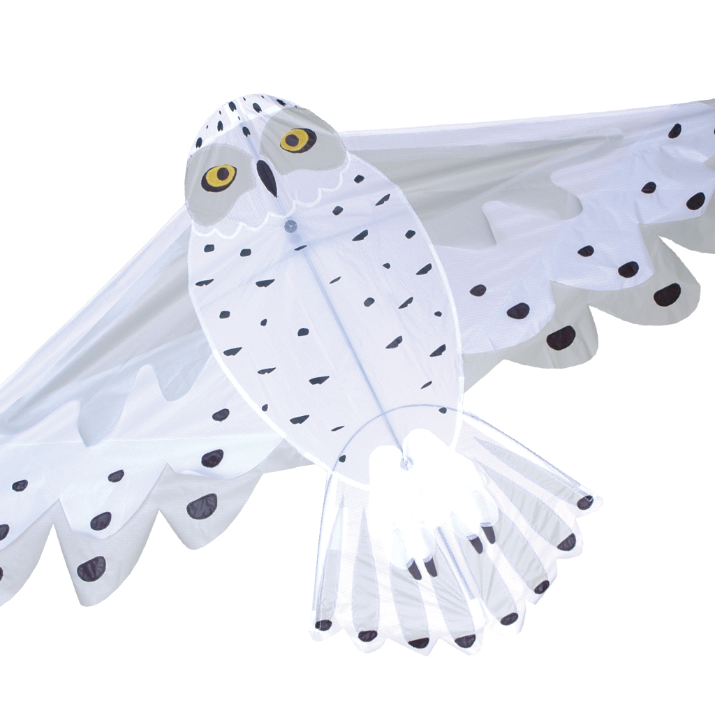Snowy Owl Kite